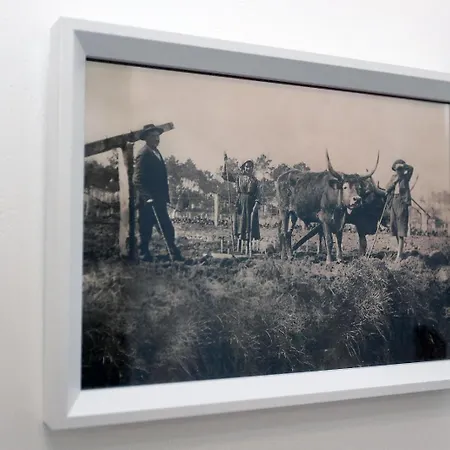 アパート A Corte Azenhas