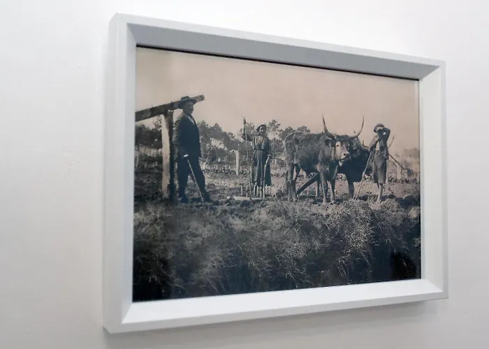 Lejlighed A Corte Azenhas